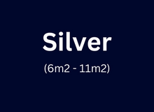 4-Silver.png